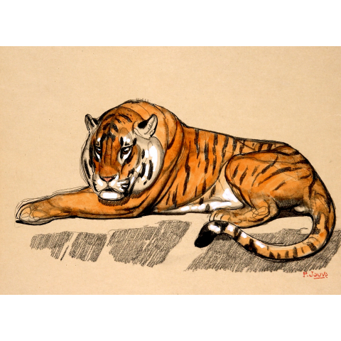 Tigre couché sur un rocher, vers 1925